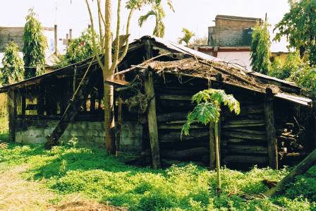 This chicken coop became a midwifery school